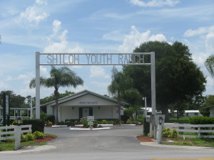 Gate Pic 2